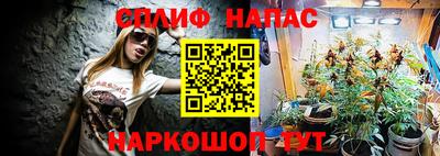 индика Бузулук