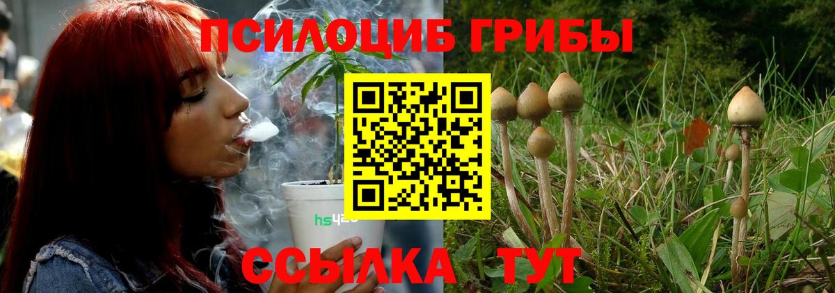 Галлюциногенные грибы GOLDEN TEACHER Октябрьский