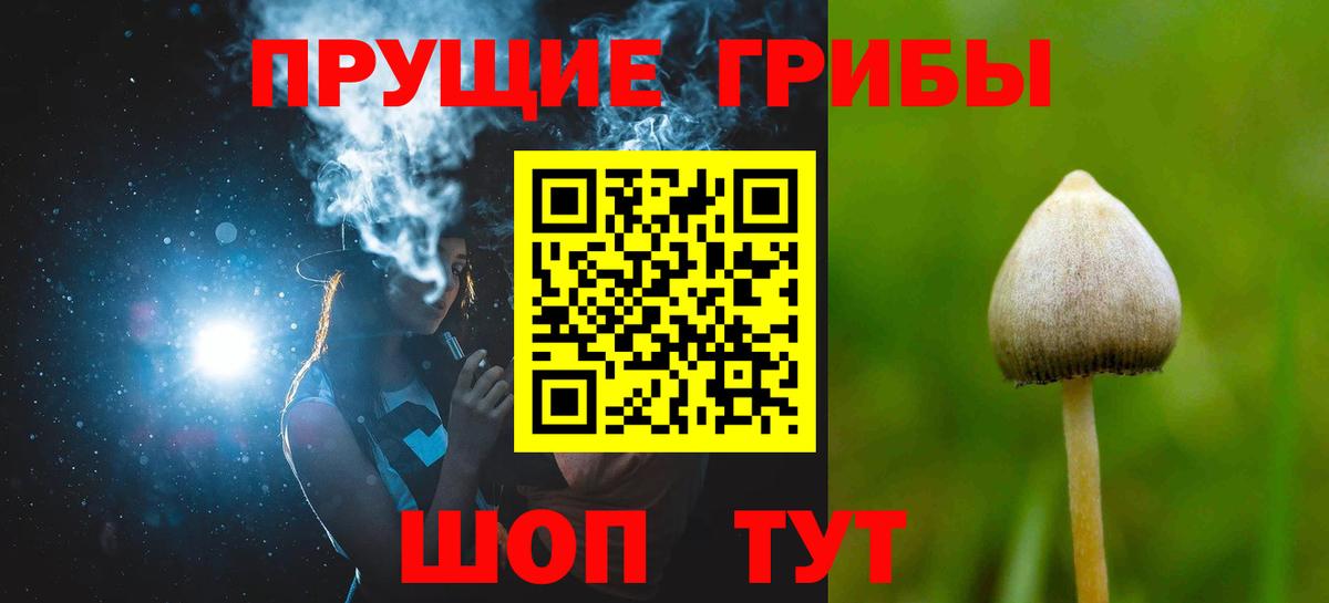 Галлюциногенные грибы прущие грибы  Галлюциногенные грибы GOLDEN TEACHER  Вход с VPN  Октябрьский 
